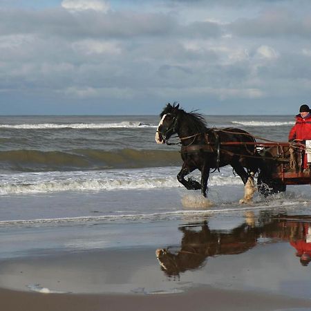 Apartament Centraal Aan Zee Egmond aan Zee Zewnętrze zdjęcie
