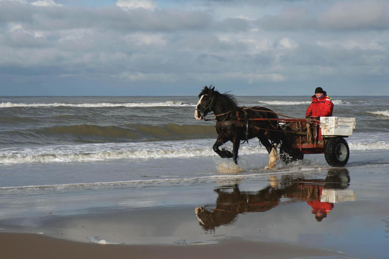 Apartament Centraal Aan Zee Egmond aan Zee Zewnętrze zdjęcie